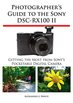 Photographer's Guide to the Sony DSC-RX100 II | White Knight Press