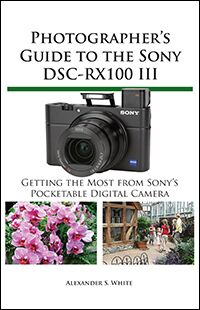 Sony DSC-RX100M7 / Cyber-shot DSC-RX100 VII Companion: A Guide to Mastering  Your Camera: Cam, Arthur: 9798529246030: : Books