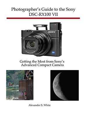  Sony DSC-RX100M7 / Cyber-shot DSC-RX100 VII Companion: A Guide  to Mastering Your Camera eBook : Cam, Arthur: Books